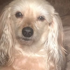 Meet your Posher, Jan